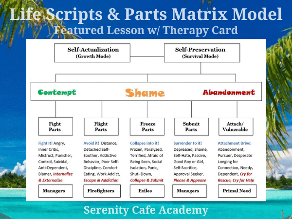 Life Scripts & Parts Matrix Model